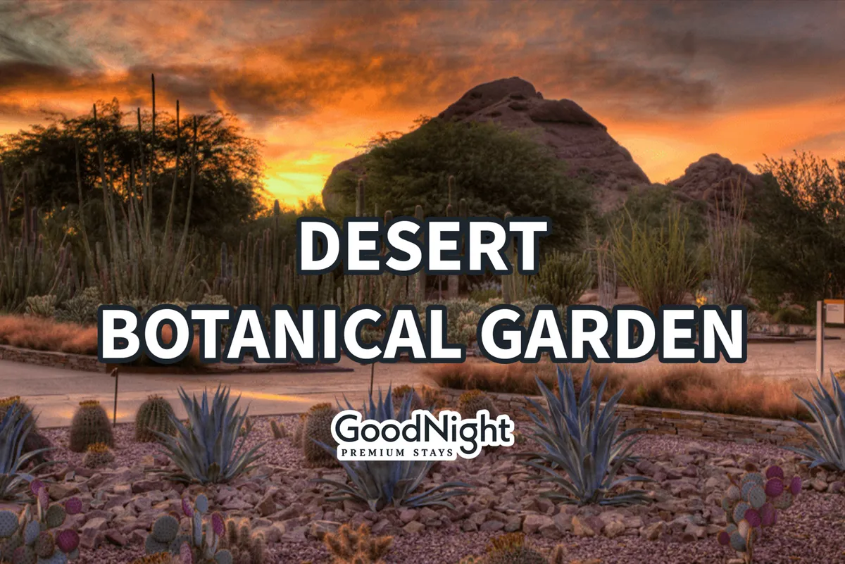 A serene desert pathway winds through cacti and native plants, set against a glowing sunset sky. The natural environment invites exploration and discovery, reminiscent of the Desert Botanical Garden's dog-friendly trails.