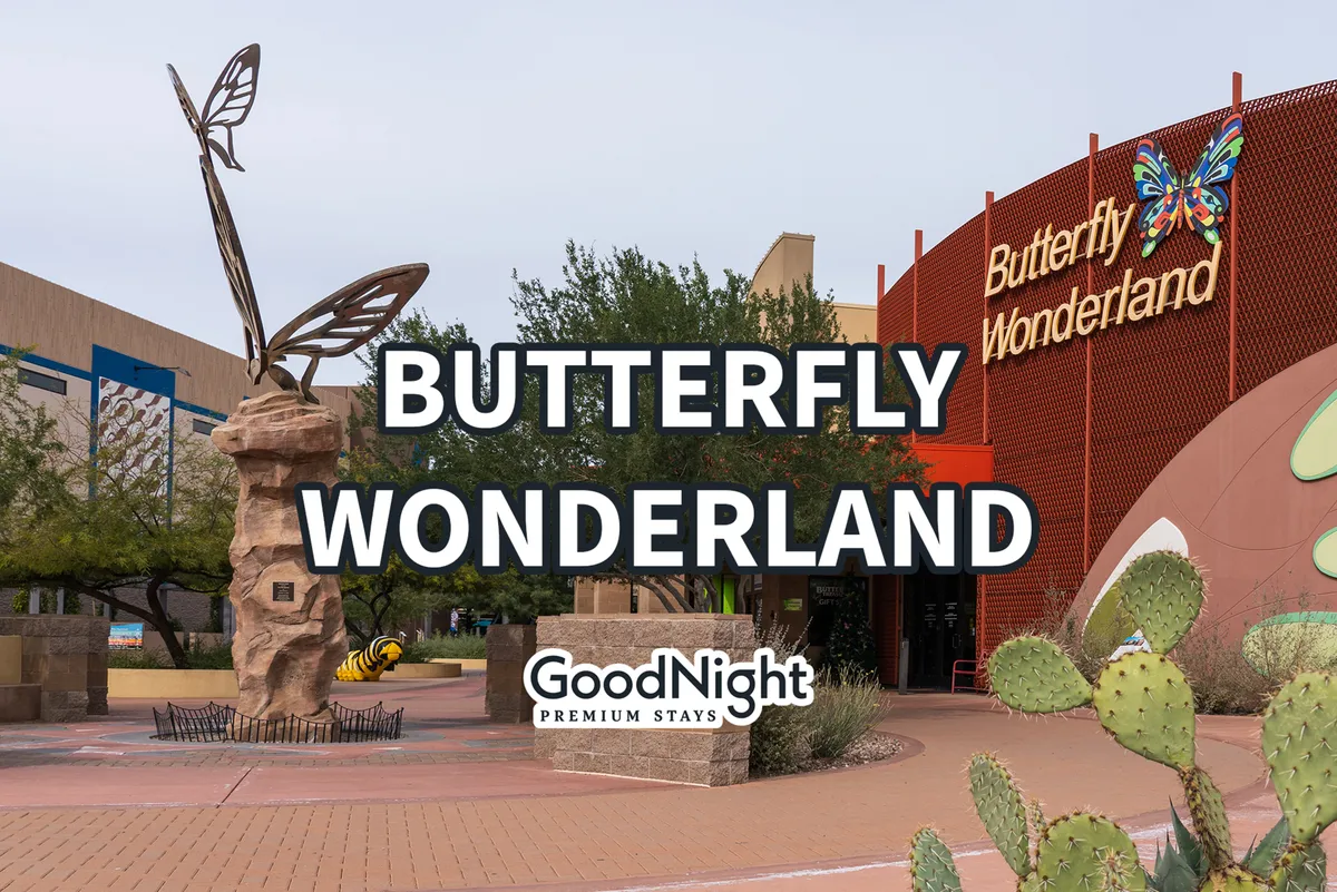 The vibrant exterior of Butterfly Wonderland, with a playful butterfly sculpture and cacti in the foreground. The entrance is inviting, suggesting a space where families can explore exhibits, learn, and create memories together.
