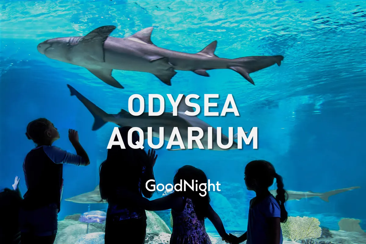 A captivating view inside an aquarium, where several sharks swim gracefully behind glass. Silhouetted children and adults stand in awe before the enormous illuminated tank, evoking a sense of wonder and discovery. The focus is on family bonding as kids and parents experience marine life up close.